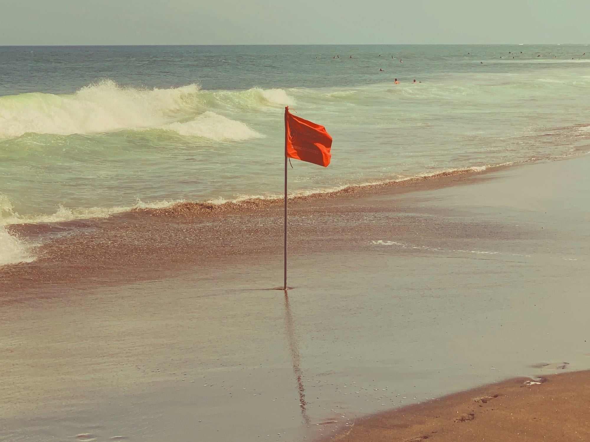 Red Flags in a Company